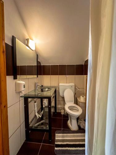 a small bathroom with a toilet and a sink at Perla Brazilor in Frumosu
