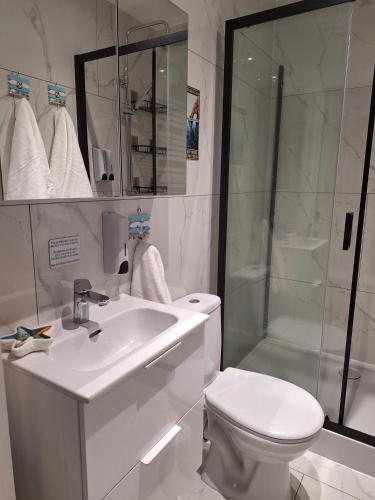 a bathroom with a toilet and a sink and a shower at Sunny Waves in Northampton