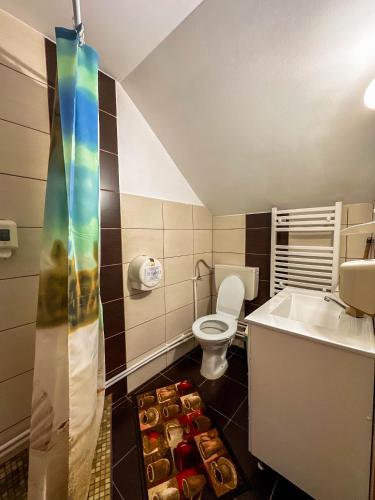 a bathroom with a toilet and a sink at Perla Brazilor in Frumosu