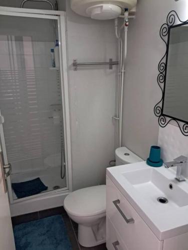 une salle de bain avec une douche, des toilettes et un lavabo dans l'établissement Studio Arc En Ciel 2 - 27 allée des pinons - 6-1, à Saint-Jean-de-Monts