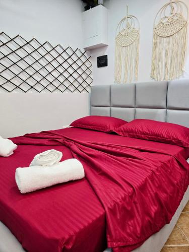 Voodi või voodid majutusasutuse Anina Guesthouse toas