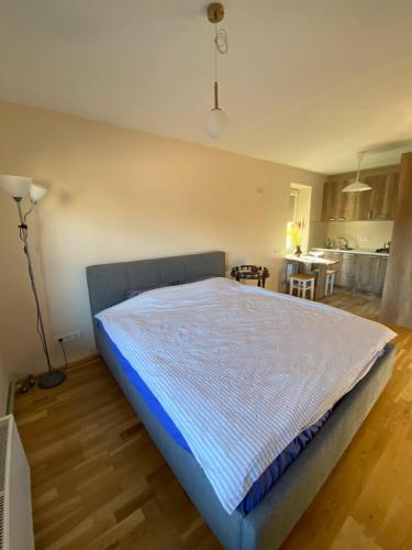 a bedroom with a large bed in a room at Auntie's retreat in Ludza