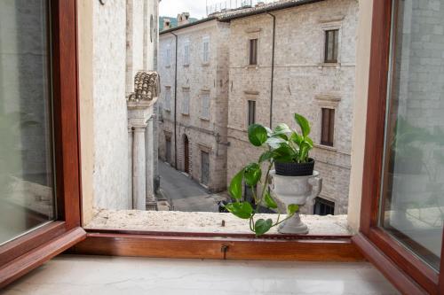 a plant sitting on a window sill with a view at Nella Torre Bed & Breakfast in Ascoli Piceno
