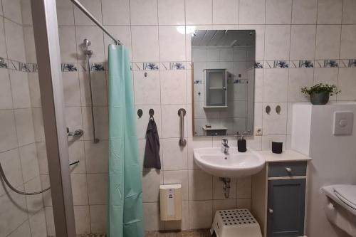 a bathroom with a shower and a sink at Urlaub in Duckwitz - Familienfreundliche Ferienwohnung in Seenähe in Behren-Lübchin