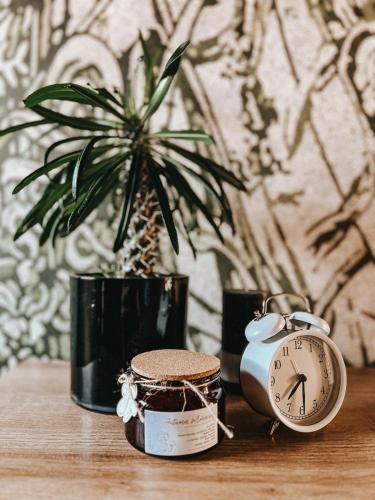 a clock sitting on a table next to a plant at Okno w Gorce-magiczny apartament na uboczu nad jeziorem Czorsztyńskim, Velo Czorsztyn, Szczawnica, Zakopane in Maniowy