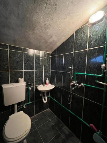 Koupelna v ubytování Apartman Tara