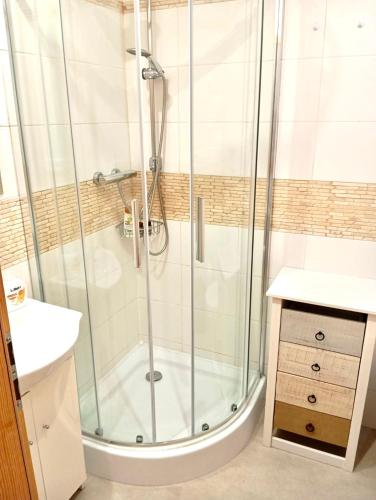 a shower with a glass door in a bathroom at Prague centrum house in Prague
