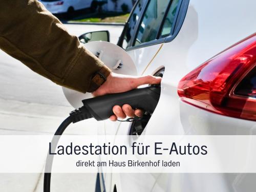 a person charging a car with a charger at Haus Maximilian by Hotel Lamm in Heimbuchenthal