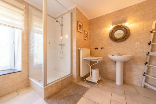 a bathroom with a shower and a sink at Charming Home in Rural Setting with Sauna in Érezée
