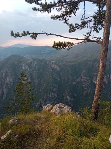 Природа в окрестностях дома для отпуска