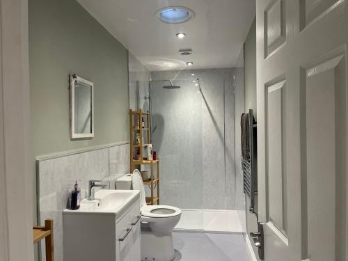 a bathroom with a toilet and a sink and a shower at The Apartment at Woodside in Stockton-on-Tees
