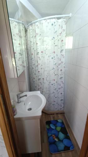 a bathroom with a sink and a shower curtain at Kuća u šumi - Forest house near National park Una - Air Spa Lohovo in Bihać