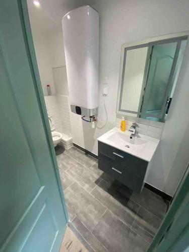 une salle de bain avec un lavabo et un miroir dans l'établissement M2 Appart 3 chambres 5 min metro - PARC EXPO, à Malakoff