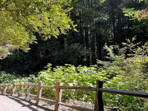 a wooden fence on a path with trees in the background at Ocean Front Cabin 17 With Remarkable Views in Smith River