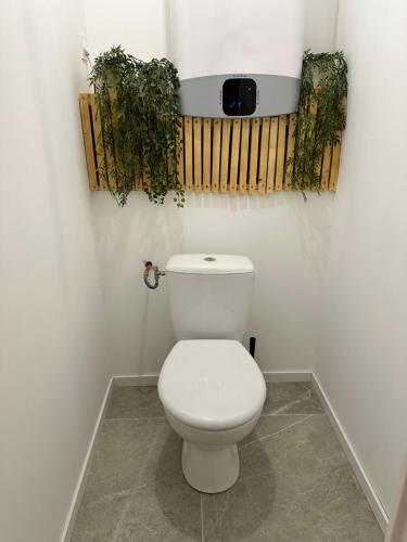 La salle de bains est pourvue de toilettes avec des plantes sur le mur. dans l'établissement Appartement centre-ville Bedarieux, à Bédarieux