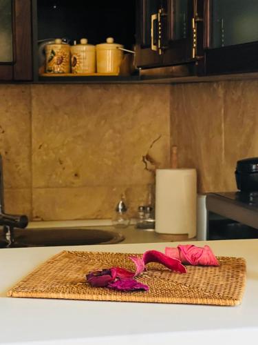 a cutting board with a red ribbon on a kitchen counter at Vila Milena in Žabljak