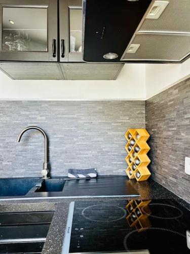 une cuisine avec un évier et un plan de travail dans l'établissement Rey - T2 terrasse, Cœur de ville, à Saint-Maximin-la-Sainte-Baume