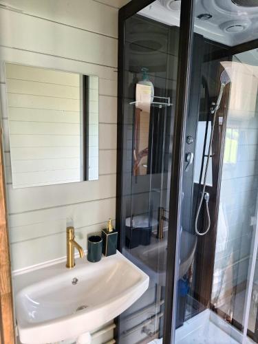 a bathroom with a sink and a shower at Zelta krasts in Vērgale