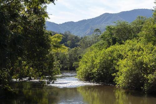 a river with trees on the side of it at Hotel Fazenda Pedra Selada Rural in Visconde De Maua