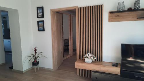 Μια τηλεόραση ή/και κέντρο ψυχαγωγίας στο New Apartment ISLAND s "Free parking"