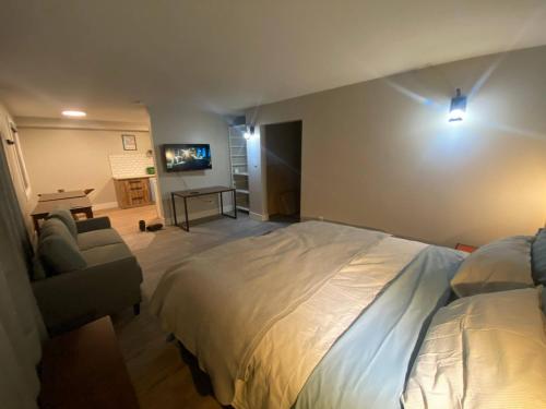 a bedroom with a bed and a couch and a television at Newly Renovated 1br1ba With Asian Style Tea Room in Edmonton
