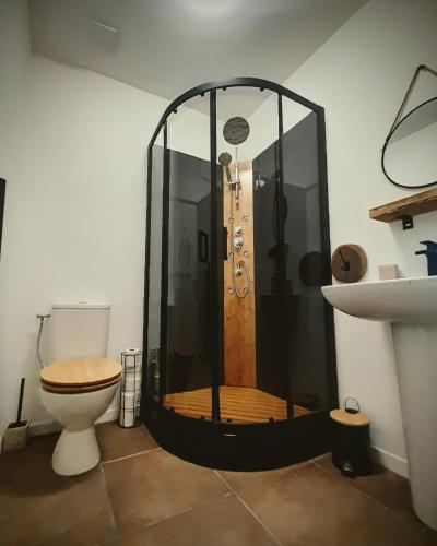 une salle de bain avec une douche avec des toilettes et un lavabo dans l'établissement Serenity Belle France Gite, à Vieux-Ruffec
