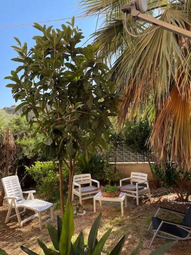 Κήπος έξω από το Loriano Apartment