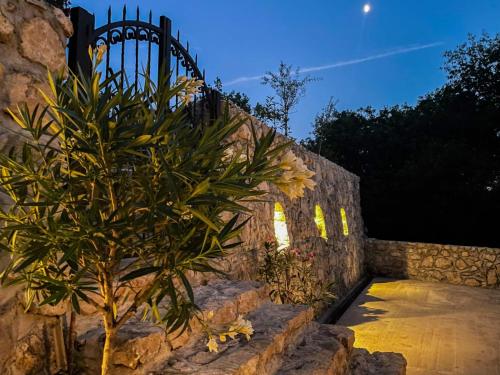 a palm tree in front of a stone wall at Cozy Karuč Home in Cetinje