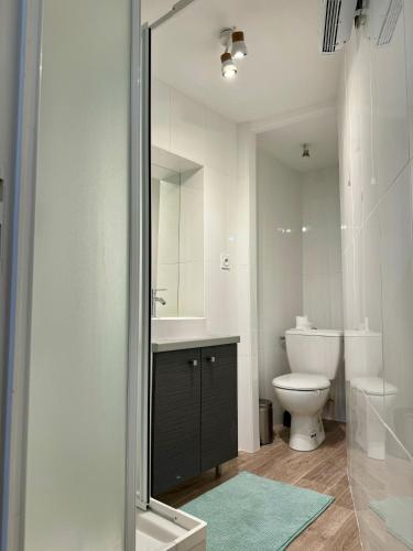 une salle de bain avec toilettes, lavabo et miroir dans l'établissement Studio Cozy au cœur des Carmes, à Toulouse