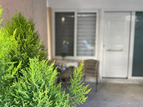 a porch with two trees in front of a door at Aphrodite Studio near Athens Floisvos Marina in Athens