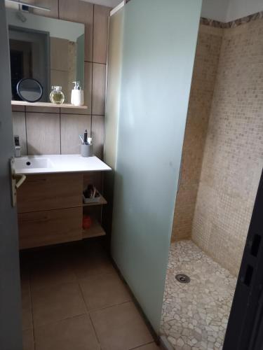 une salle de bain avec un lavabo et une douche dans l'établissement Maison 5 personnes, au Pontet