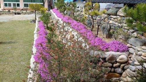 a garden with purple flowers and a stone wall at Buan sukranjeong pension in Buan