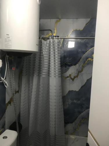 a bathroom with a shower curtain next to a toilet at D&N Karakol in Karakol