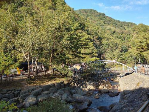 ゲストハウスの近くで見られる自然の景観