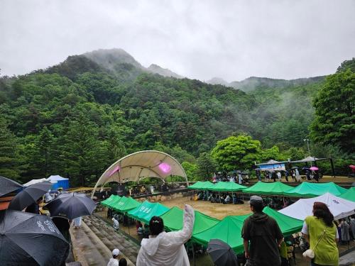 a group of people standing around with umbrellas in the rain at Danyang mulgoeul pension in Danyang