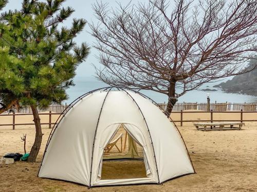 a white tent on the beach next to a tree at Bakripo Badawa Padosori Camping pension in Taean