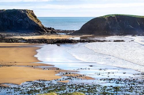 a beach with a bunch of birds on the sand at Newly renovated entire residential home Annestown Beach, County Waterford in Annestown