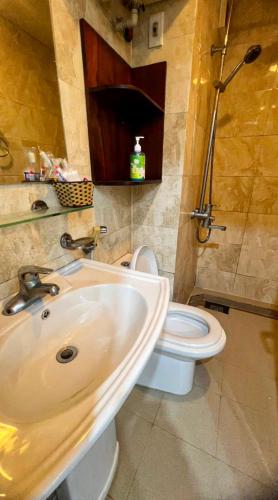 a bathroom with a sink and a toilet at Sapa Lake View Hotel in Sa Pa