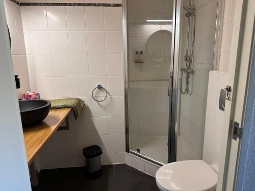 a bathroom with a shower and a sink and a toilet at Bed and Breakfast Goes in Goes