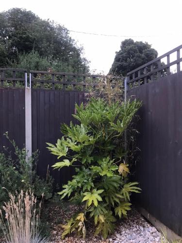 a black fence with a bunch of plants at The Hideaway in Hockering