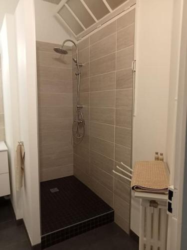 une douche avec une porte vitrée dans une salle de bain dans l'établissement Le Petit Appart au coeur de Vichy, à Vichy