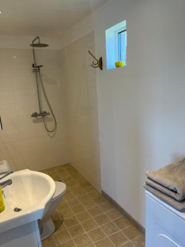 a bathroom with a toilet and a sink at Brittas Country House in Munka-Ljungby