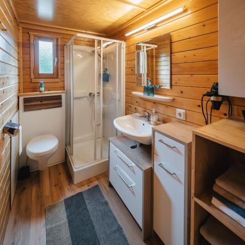 a bathroom with a toilet sink and a shower at Camping Dreiländereck Blockhütten & Apartments in Ried im Oberinntal