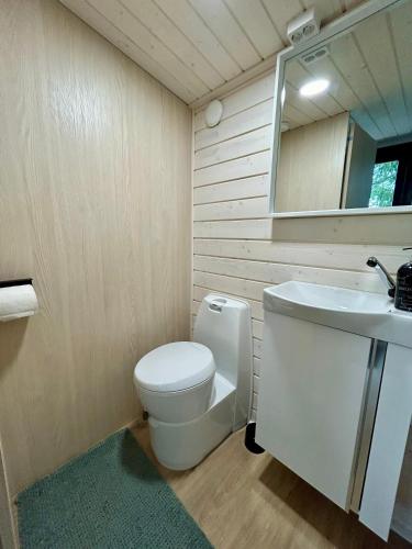 a bathroom with a toilet and a sink and a mirror at The Saunacabin Enchanted Lapland in Rovaniemi