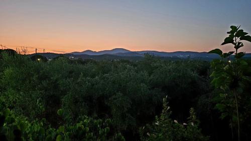 Φυσικό τοπίο κοντά σε αυτό το διαμέρισμα
