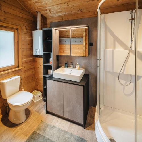 a bathroom with a toilet and a sink and a shower at Camping Dreiländereck Blockhütten & Apartments in Ried im Oberinntal