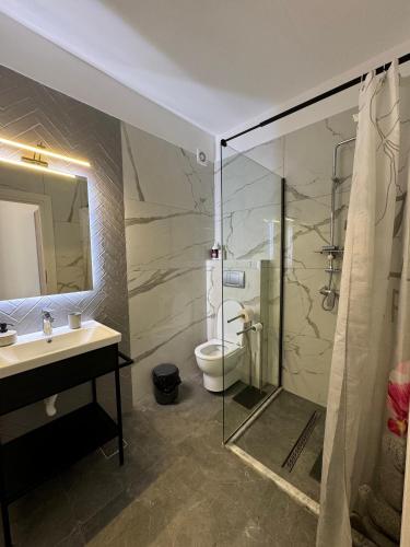 a bathroom with a shower and a toilet and a sink at Denis Boutique in Eforie Nord