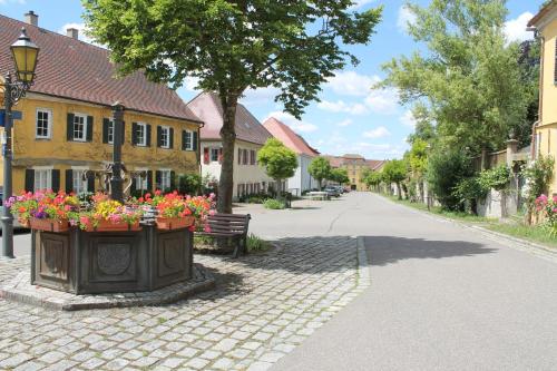 a street in a town with flowers in a basket at Ferienwohnung im Hofratshaus in Schrozberg
