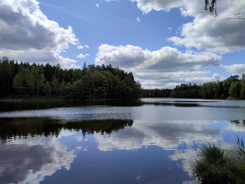 Fotografie z fotogalerie ubytování Bobrowe Ranczo v destinaci Barcikowo