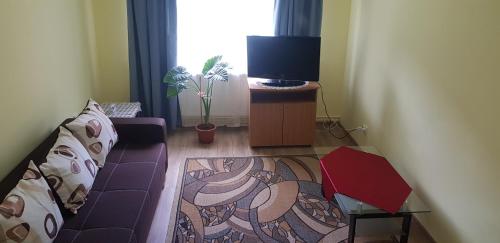 a living room with a couch and a tv at City Apartment in Târgu Ocna